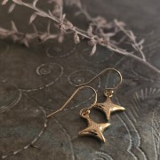 Earrings | North Star